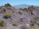 imgp3503_small.jpg