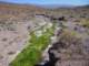 imgp3509_small.jpg