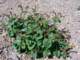 imgp3510_small.jpg