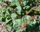 imgp3511_small.jpg