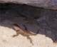 imgp3522_small.jpg