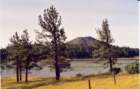 cuya0012_small.jpg