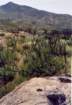 cuya0026_small.jpg