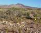 imgp2956_small.jpg