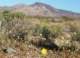 imgp2957_small.jpg