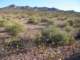imgp2958_small.jpg