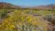 imgp2959_small.jpg