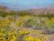 imgp2961_small.jpg