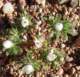 imgp2962_small.jpg