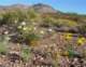 imgp2963_small.jpg
