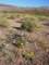 imgp2964_small.jpg