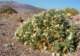 imgp2975_small.jpg