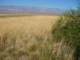 imgp2978_small.jpg