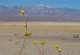 imgp2981_small.jpg