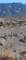 imgp2985_small.jpg