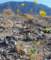 imgp2987_small.jpg