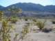imgp2996_small.jpg