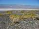 imgp3006_small.jpg