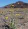 imgp3010_small.jpg