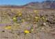 imgp3015_small.jpg