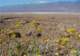 imgp3016_small.jpg