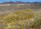 imgp3023_small.jpg