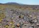 imgp3024_small.jpg