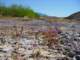 imgp3027_small.jpg