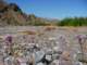 imgp3029_small.jpg