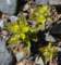 imgp3031_small.jpg