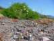 imgp3032_small.jpg