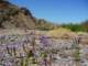 imgp3033_small.jpg