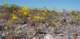 imgp3045_small.jpg