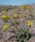imgp3046_small.jpg
