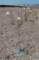 imgp3048_small.jpg