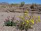 imgp3049_small.jpg
