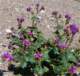 imgp3050_small.jpg