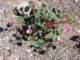 imgp3053_small.jpg
