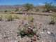 imgp3054_small.jpg