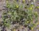imgp3056_small.jpg