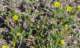 imgp3057_small.jpg