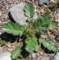 imgp3058_small.jpg