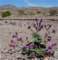 imgp3059_small.jpg
