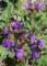 imgp3060_small.jpg