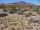 imgp3069_small.jpg