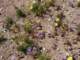 imgp3070_small.jpg
