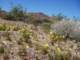 imgp3072_small.jpg