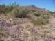 imgp3073_small.jpg