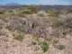 imgp3074_small.jpg