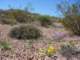 imgp3075_small.jpg
